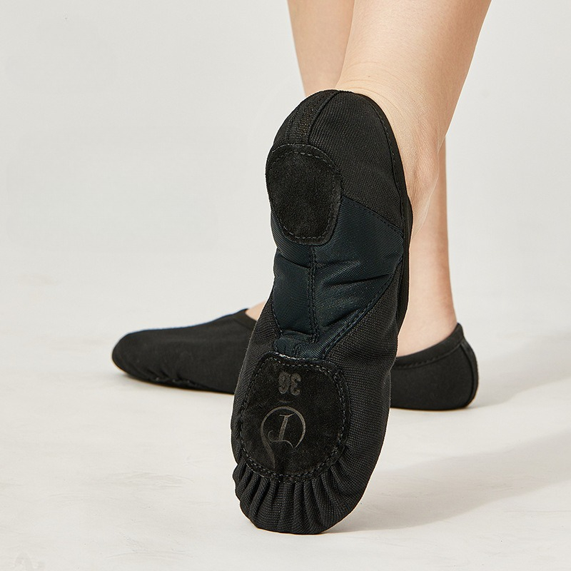 Dance Shoes for Men Practice M - đánh giá và giá Women'S Xc Shoes