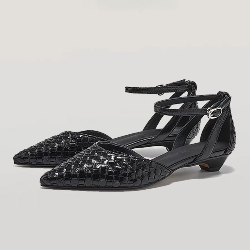 Pointed Toe Low Heels Women El - đánh giá và giá Women Shoes Brand